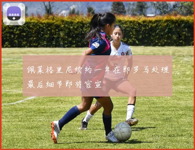 佩莱格里尼续约一年在即罗马处理最后细节即将官宣